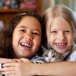 Rectangle 4 3 | Anglican Financial Care